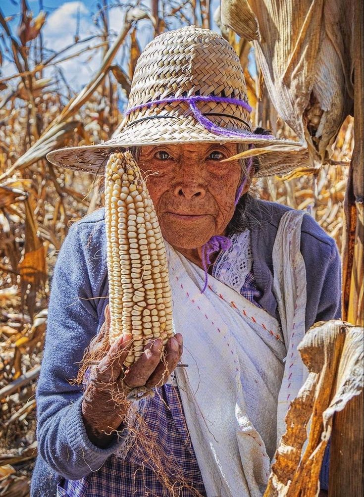 Mujer con mazorca de maíz cosechado.